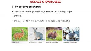 DOKAZI O EVOLUCIJI 1 Prilagoditve organizmov proces prilagajanja