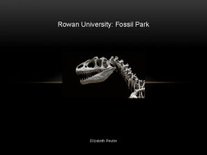 Rowan University Fossil Park Elizabeth Reuter DINOWHAT The