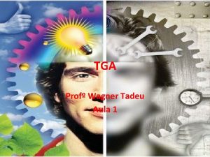 TGA Prof Wagner Tadeu Aula 1 EMENTA Conceituao