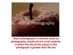 Macro Photography Macro photography is extreme closeup photography