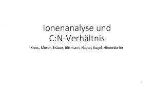 Ionenanalyse und C NVerhltnis Kress Moser Bruer Bittmann