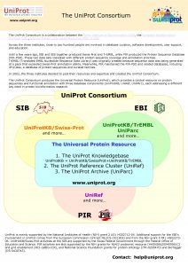 www uniprot org The Uni Prot Consortium is