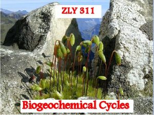 ZLY 311 Biogeochemical Cycles Introduction Living things require