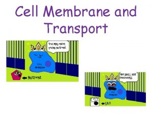 Cell Membrane and Transport Cell Membrane aka plasma