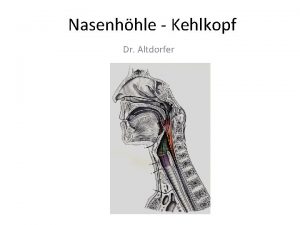 Nasenhhle Kehlkopf Dr Altdorfer 1 Os nasale 2