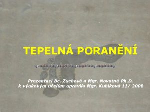 TEPELN PORANN Prezentaci Bc Zuchov a Mgr Novotn