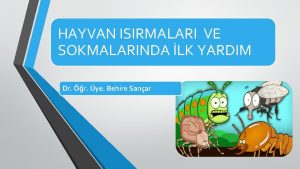 HAYVAN ISIRMALARI VE SOKMALARINDA LK YARDIM Dr r