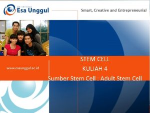 STEM CELL KULIAH 4 Sumber Stem Cell Adult