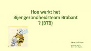 Hoe werkt het Bijengezondheidsteam Brabant BTB Datum 10