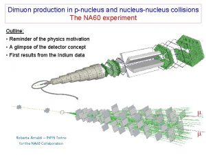 Dimuon production in pnucleus and nucleusnucleus collisions The