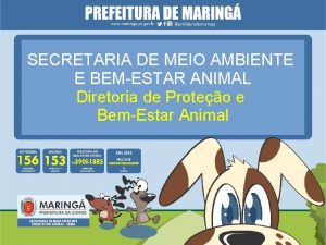 SECRETARIA DE MEIO AMBIENTE E BEMESTAR ANIMAL Diretoria
