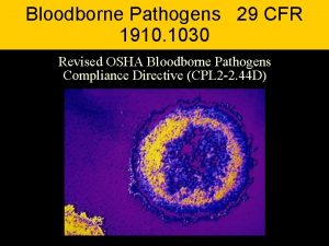 Bloodborne Pathogens 29 CFR 1910 1030 Revised OSHA