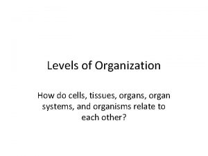 Levels of Organization How do cells tissues organ