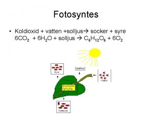 Fotosyntes Koldioxid vatten solljus socker syre 6 CO
