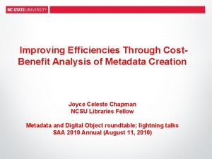 Improving Efficiencies Through Cost Benefit Analysis of Metadata