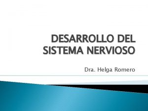 DESARROLLO DEL SISTEMA NERVIOSO Dra Helga Romero DESARROLLO