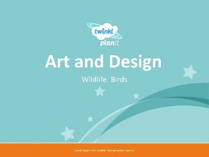 Art and Design Wildlife Birds Year One Art