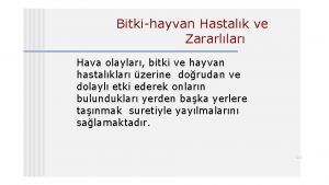 Bitkihayvan Hastalk ve Zararllar Hava olaylar bitki ve