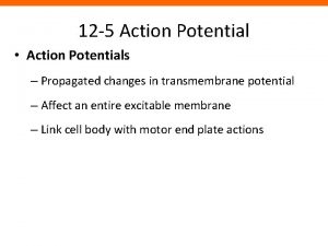 12 5 Action Potential Action Potentials Propagated changes