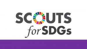 Contributing to the Sustainable Development Goals SDGs with