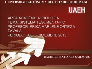 REA ACADMICA BIOLOGA TEMA SISTEMA TEGUMENTARIO PROFESOR ERIKA