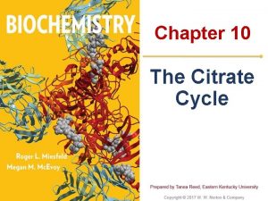 Chapter 10 The Citrate Cycle 10 1 The