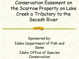 Conservation Easement on the Scarrow Property on Lake