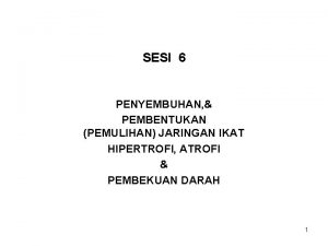 SESI 6 PENYEMBUHAN PEMBENTUKAN PEMULIHAN JARINGAN IKAT HIPERTROFI