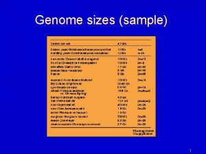 Genome sizes sample 1 Some genomics history 1995