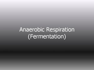 Anaerobic Respiration Fermentation Possible Pathways of Making Energy