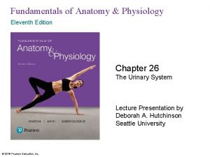 Fundamentals of Anatomy Physiology Eleventh Edition Chapter 26