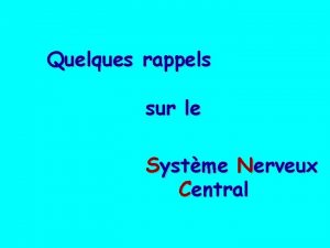 Quelques rappels sur le Systme Nerveux Central Articulation