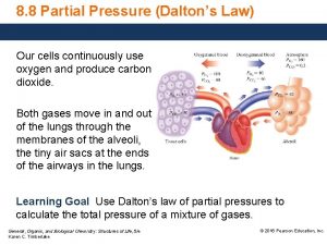 8 8 Partial Pressure Daltons Law Our cells