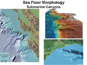 Sea Floor Morphology Submarine Canyons Sea Floor Morphology
