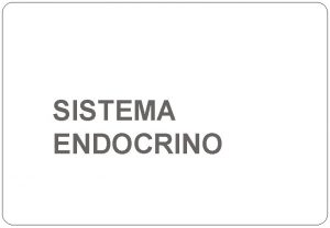 Endocrino