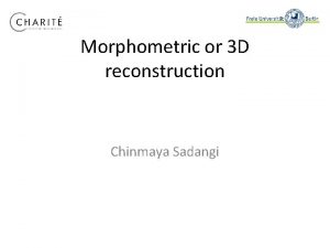 Morphometric or 3 D reconstruction Chinmaya Sadangi Outline