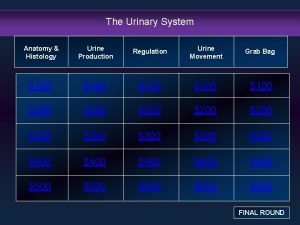 The Urinary System Anatomy Histology Urine Production Regulation