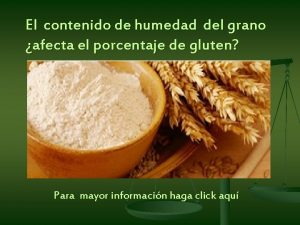 El contenido de humedad del grano afecta el