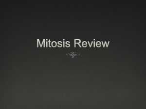 Mitosis Review The membrane pinches together until two