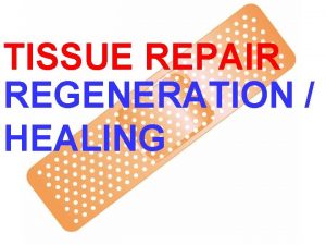 TISSUE REPAIR REGENERATION HEALING DEFINITIONS REPAIR Restoration of