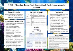 A Fishy Situation LargeScale Versus SmallScale Aquaculture in