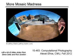 More Mosaic Madness Jeffrey Martin jeffreymartin com with