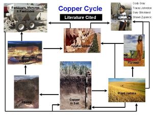 Fertilizers Manures Pesticides Copper Cycle Literature Cited Cody