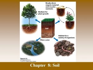 Chapter 8 Soil The Formation of Soil Factors