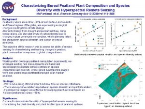 Characterizing Boreal Peatland Plant Composition and Species Diversity