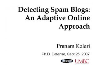 Detecting Spam Blogs An Adaptive Online Approach Pranam