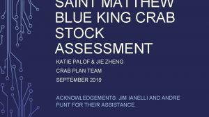 SAINT MATTHEW BLUE KING CRAB STOCK ASSESSMENT KATIE