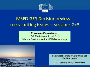 MSFD GES Decision review crosscutting issues sessions 23