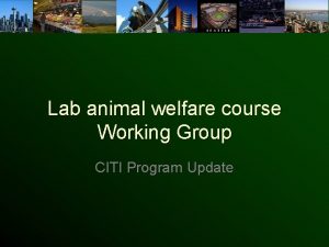 Lab animal welfare course Working Group CITI Program