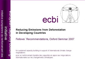 Reducing Emissions from Deforestation in Developing Countries Fellows